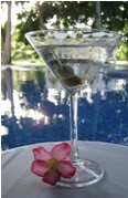 Cocktail Lessons At Casa Velas Hotel Bouitique