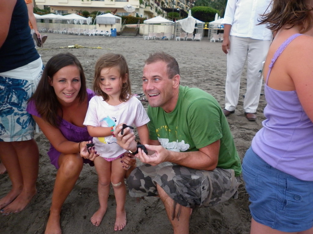 Gulf Turtle | Velas Vallarta | Tortuga Golfina