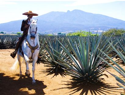 Tequila Jalisco