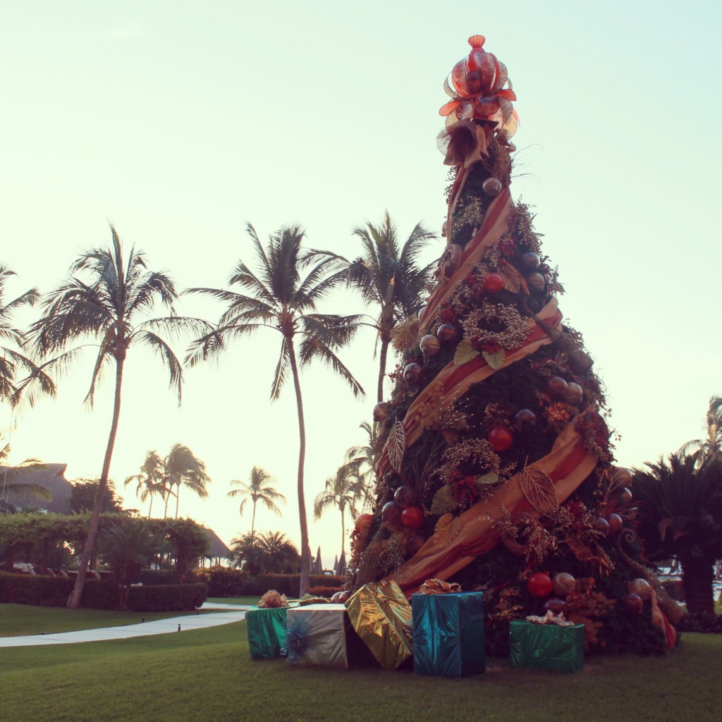 navidad en vallarta nayarit