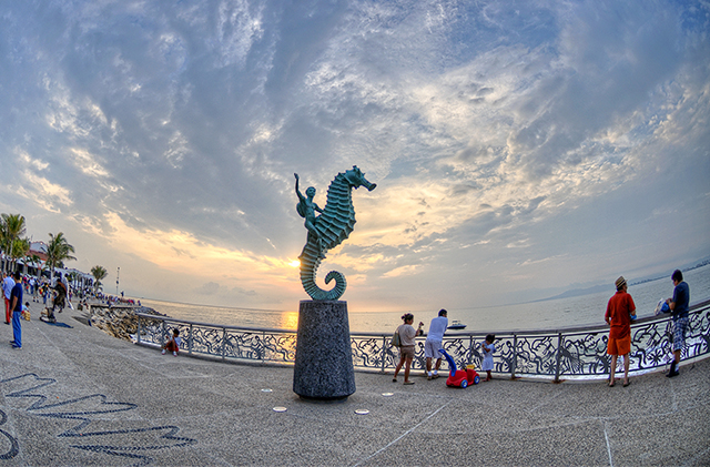 Vallarta's seahorse