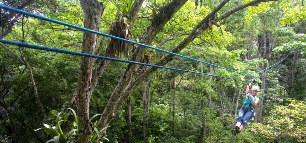 canopy en vallarta nayarit