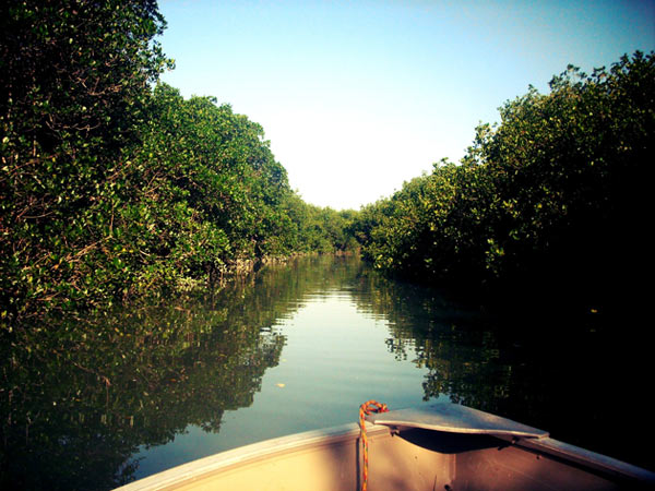 estero-el-salado-puerto-vallarta-jalisco