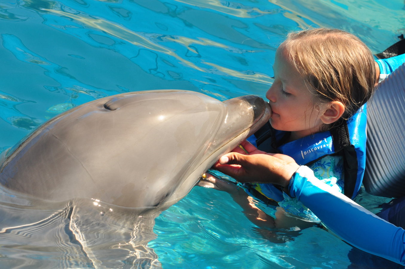 Swimming with the Dolphins of Puerto Vallarta