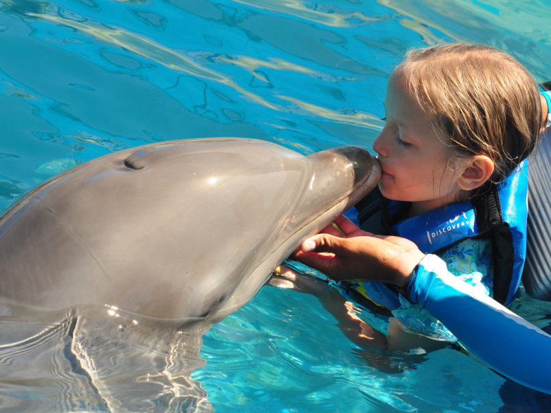 Swimming with the Dolphins of Puerto Vallarta