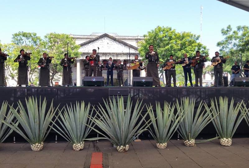 vacaciones de semana Santa en el Vallarta Reggae Festival 2016