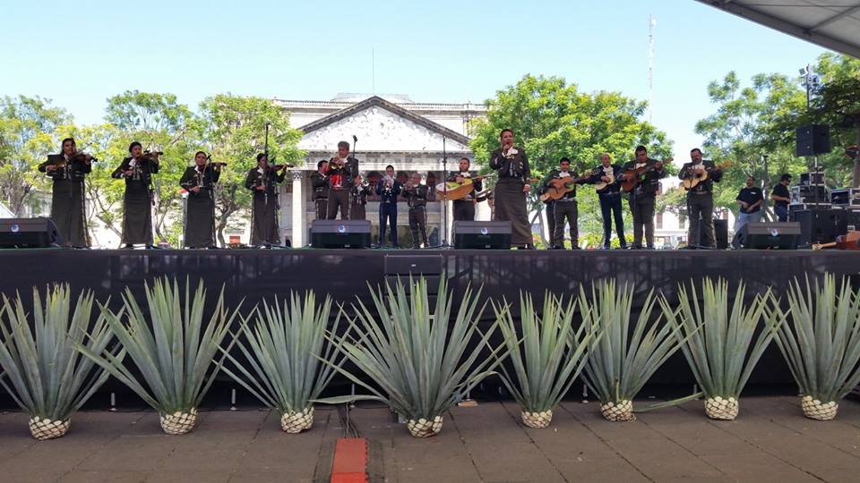 Festival de Música y Arte Puerto Chacala 2016