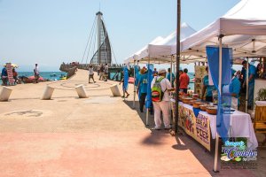 Ceviche and Aguachile Market