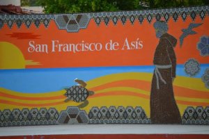 Authentic Culture at “San Pancho Days” Festival Near Puerto Vallarta