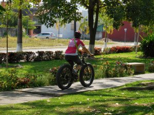 Puerto Vallarta Cycling Tours