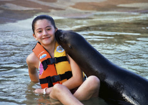 Puerto Vallarta Sea Lions Are Among the Friendliest in the World