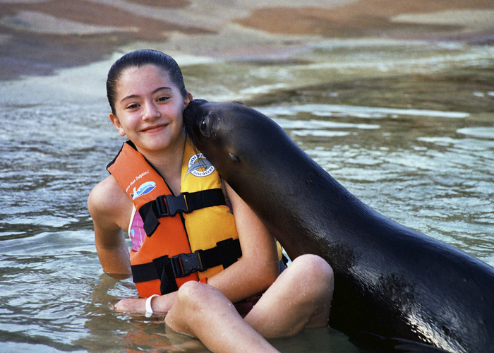 Puerto Vallarta Sea Lions