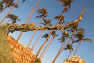 puerto vallarta malecon, millenian, sculpture