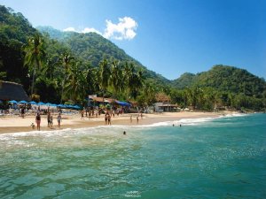 las animas, beach, puerto vallarta