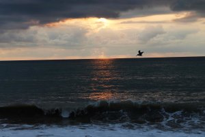 vallarta-atardecer