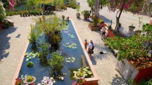 Puerto Vallarta Botanical Gardens
