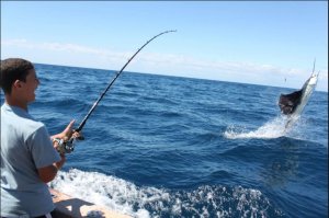 puerto vallarta fishing