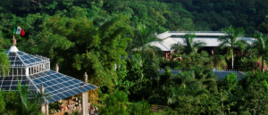 A Mountainside Tropical Oasis