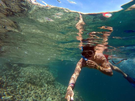 puerto vallarta snorkeling