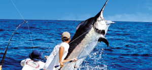 torneo de pesca puerto vallarta