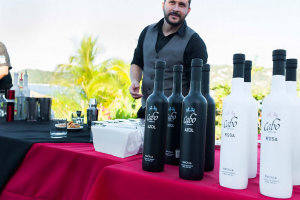 trago festival sayulita