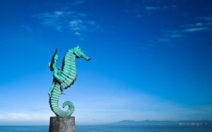 Visit puerto vallarta