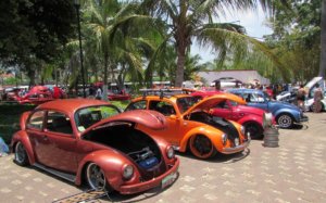 18° Guayafest 2017, Guayabitos, Riviera Nayarit