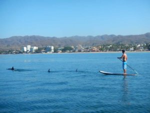 Sup in Bucerias, Paddle board tour throug Bucerias