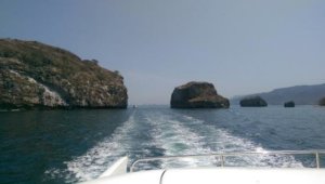 yatch cruises, puerto vallarta, bahía de banderas