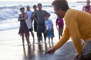 Liberación de tortugas Laúd en Velas Vallarta y Casa Velas