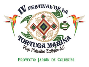 V Sea Turtle Festival