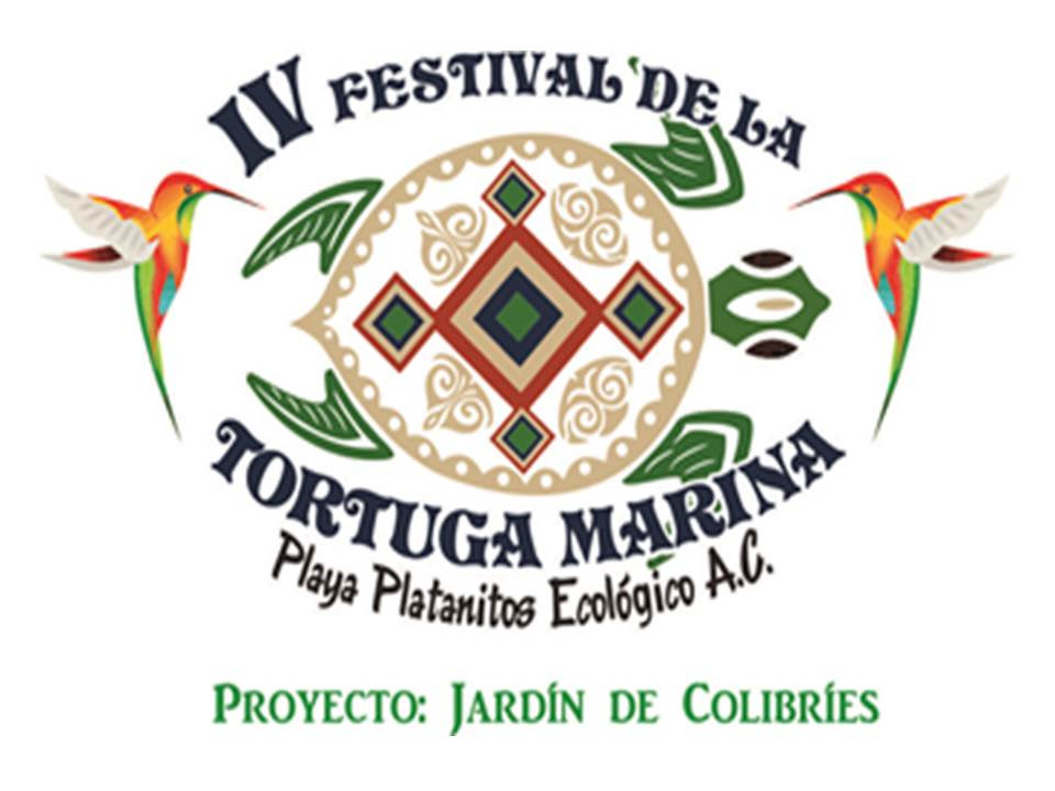  V Sea Turtle Festival