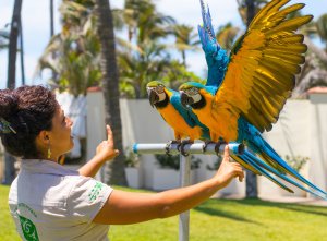 Wildlife Adventure at Grand Velas Riviera Nayarit