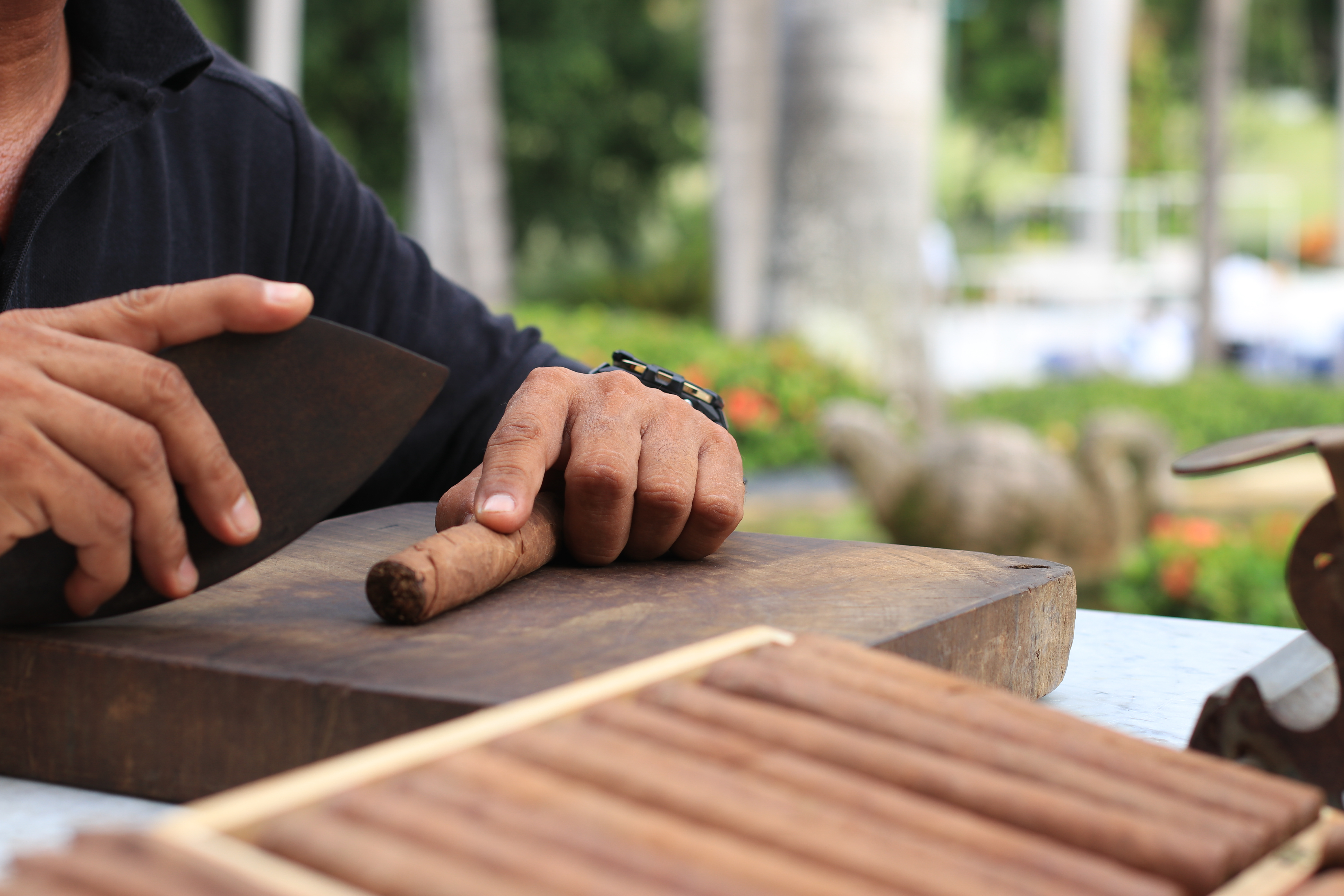 Cuban afternoon at Hotel Casa Veals Puerto Vallarta