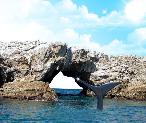 Bahía de Matanchén