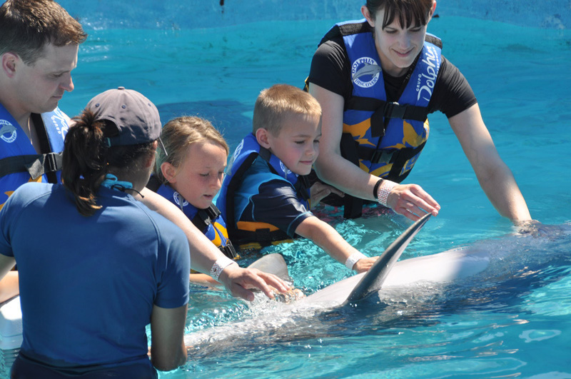 familia nadando con delfines en el parque acuático Aquaventuras de Dolphin Discovery en Riviera Nayarit