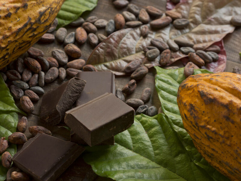 Cacao-and-chocolate
