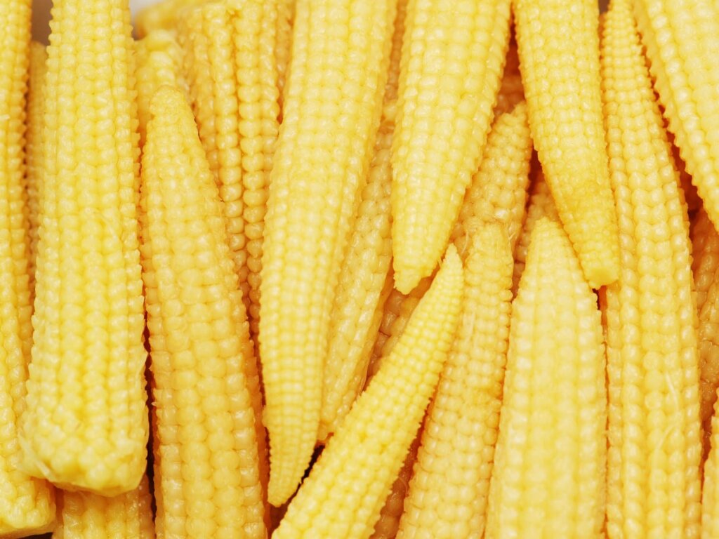 Baby-corn