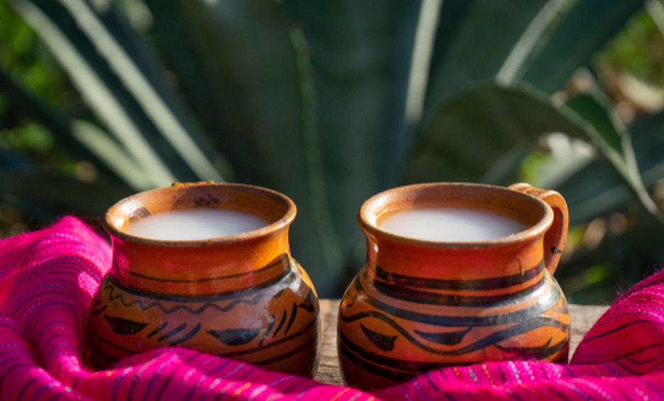 pulque-drink